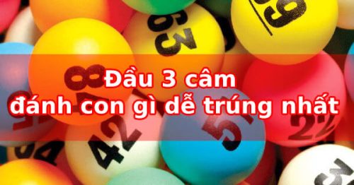 Đầu 3 câm hôm sau nên đánh con gì, số mấy dễ thắng