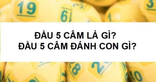 Bí kíp bắt cầu đầu 5 câm hôm sau đánh con gì thắng lớn