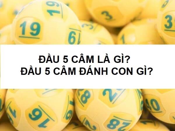 Bí kíp bắt cầu đầu 5 câm hôm sau đánh con gì thắng lớn