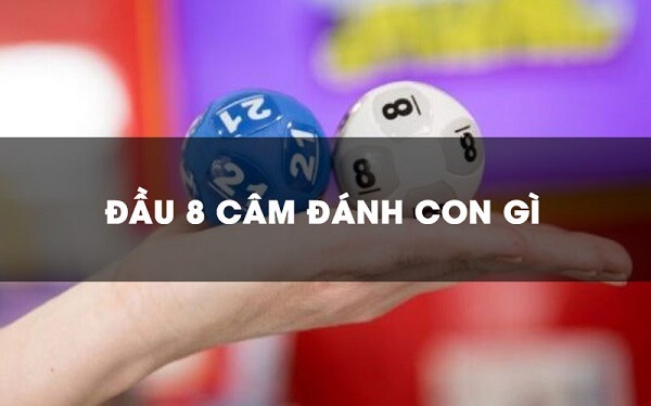 Bật mí đầu 8 câm hôm sau đánh con gì chuẩn xác hiệu quả nhất