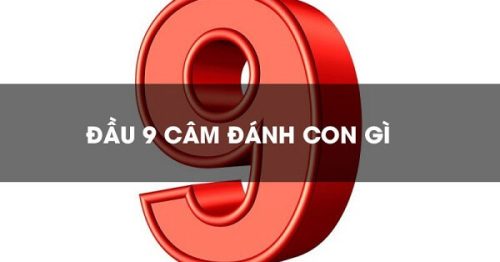 Kinh nghiệm bắt cầu đầu 9 câm hôm sau đánh con gì thắng lớn