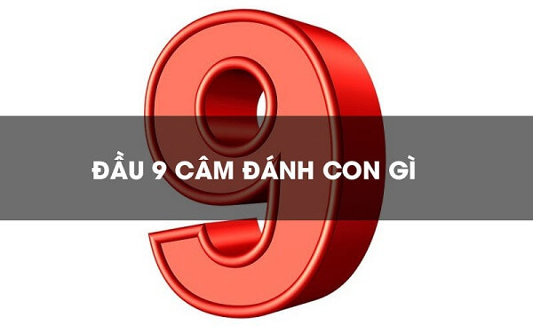 Kinh nghiệm bắt cầu đầu 9 câm hôm sau đánh con gì thắng lớn