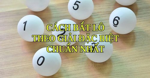 Chia sẻ cách bắt lô theo đặc biệt có tỷ lệ thắng cao