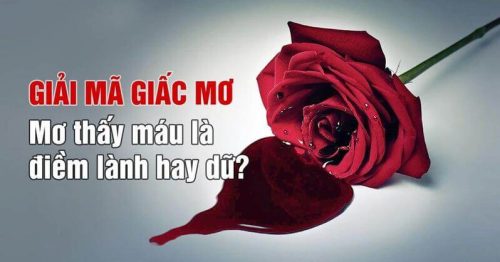 Mơ thấy máu đánh con gì, số mấy? Giải mã ý nghĩa trong lô đề