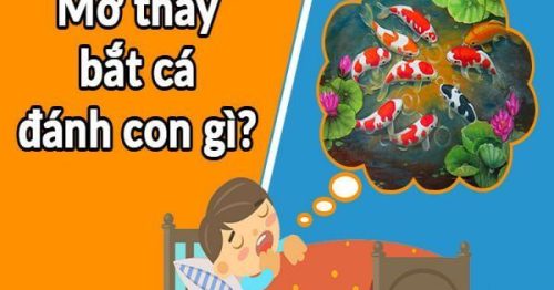 Điềm báo về giấc mơ thấy bắt cá – Đánh con gì số mấy thắng lớn