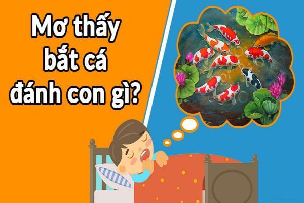 Điềm báo về giấc mơ thấy bắt cá - Đánh con gì số mấy thắng lớn