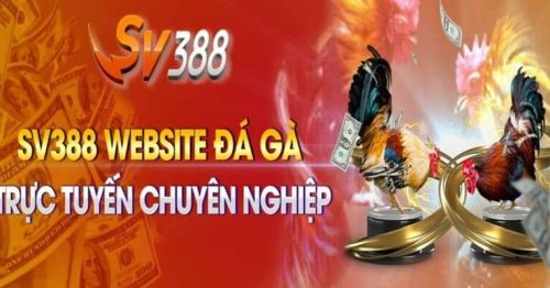 Hé lộ cách đăng ký đá gà trực tiếp Thomo Sv388 nhanh chóng đơn giản