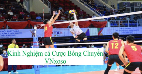 Kinh nghiệm cá cược bóng chuyền VNxoso – 5 bí kíp cho người mới bắt đầu