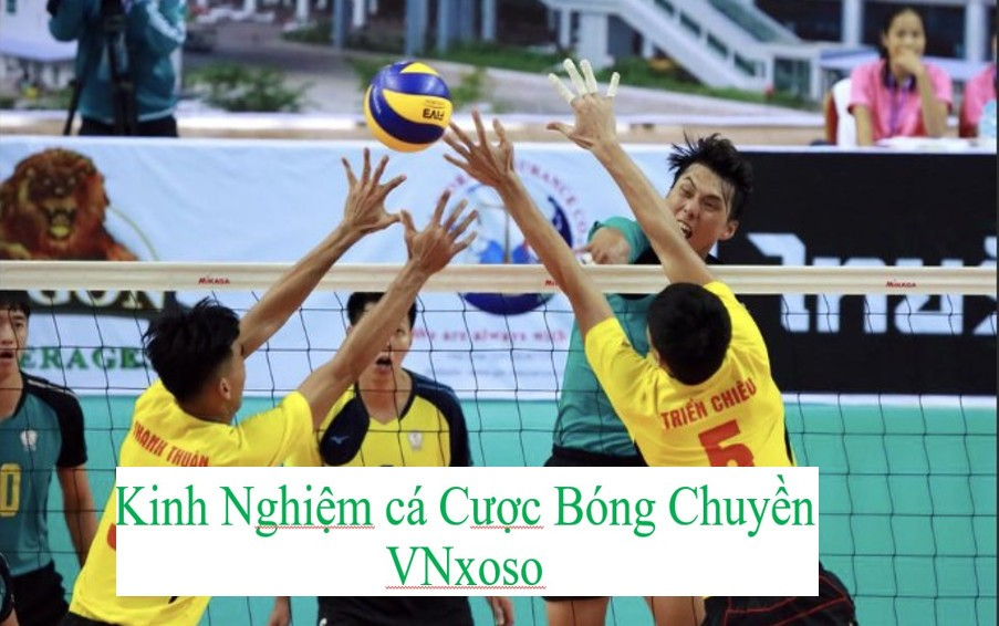 Kinh nghiệm cá cược bóng chuyền VNxoso  về phân tích tỷ lệ cược