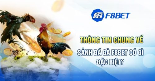 Sảnh cược đá gà F8BET – Nơi những sư kê chạm tới vinh quang