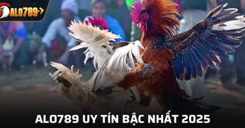 Hướng dẫn tải App Alo789 nhanh chóng, cài đặt dễ dàng chỉ trong 1 phút