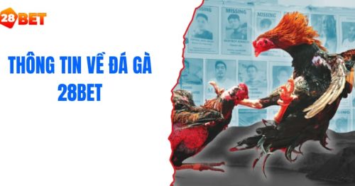 Đá gà 28BET – Khám phá sảnh cược đẳng cấp hàng đầu